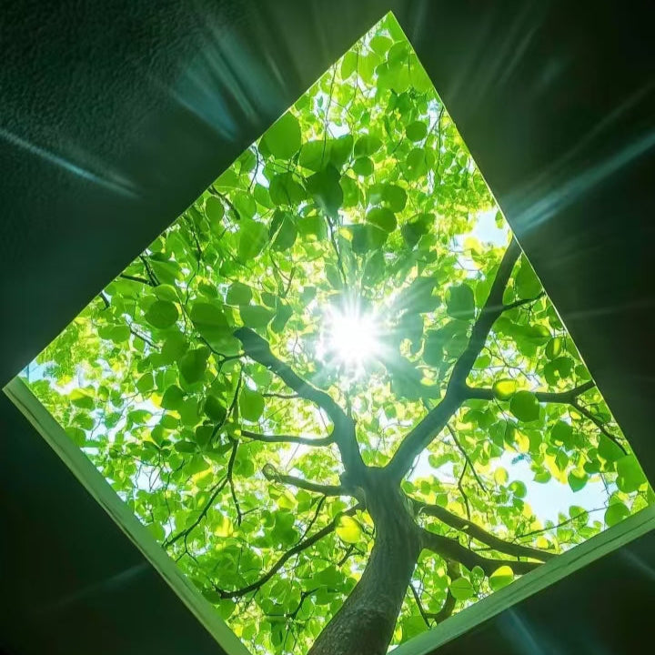 [Energy Supply] Fengshui Sound Bath -- Pure Nature Energy in a Song