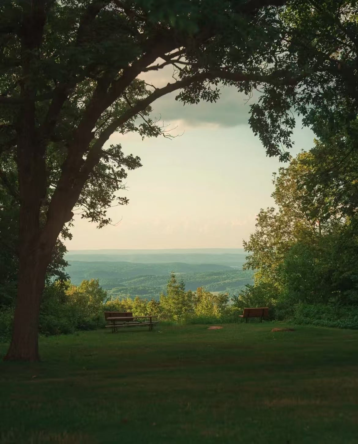 [Cleanse] Fengshui Purification Music Therapy - High Vibration!